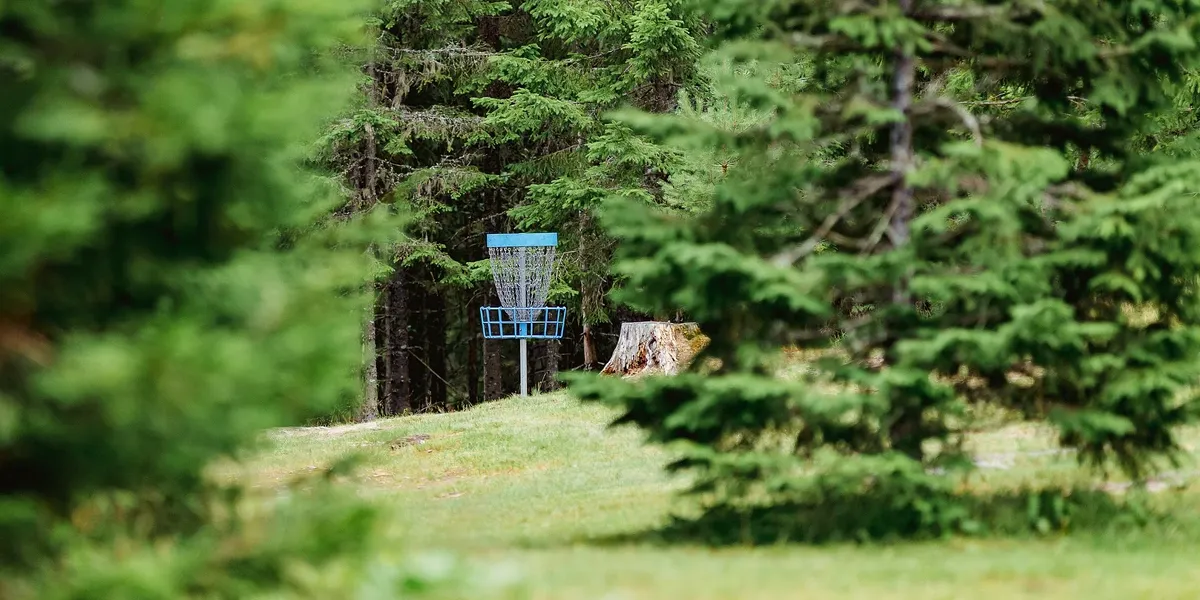 Disc golf target in a forest course